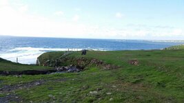20160521_175348.jpg