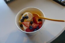 Frozen yoghurt.jpg