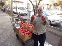 DSC01600.jpg