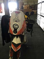 IMG_5372.jpg