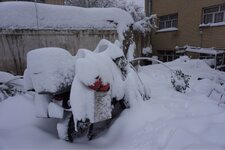 IMG_5770.JPG