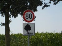DSCN2970.jpg