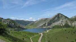 IMG_9841.jpg