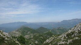 IMG_9848.jpg