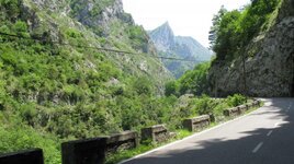 IMG_9874.jpg