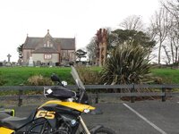 17. Waterford  Fennor Church Tree Sculpture (Medium).jpg