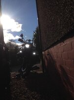 IMG_1034.jpg