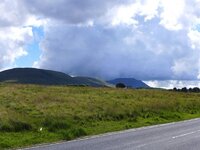 P1010070.jpg