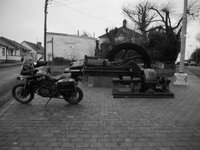 23. Roscommon Blackstone (Medium).jpg