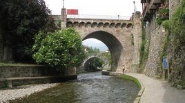IMG_9915.jpg