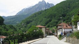 IMG_9890.jpg