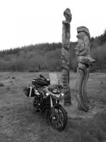 6.Fermanagh Timber sculpture (Medium).jpg