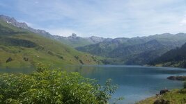 20160819_155146.jpg