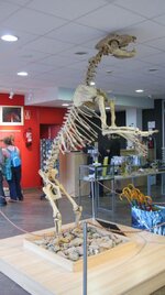 IMG_9939.jpg