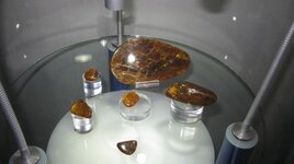 IMG_9944.jpg