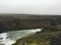 IMG_5311.jpg