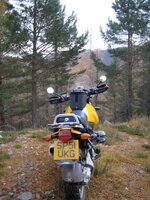 IMG_0087_1_1.JPG