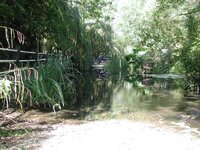 p1010006 wraysbury a.jpg