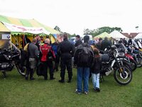 bmf3.jpg