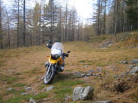 IMG_0086_1_2_1.JPG