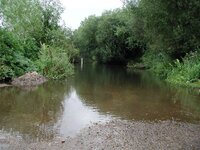 p8110004.jpg