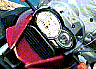1200 crop.gif