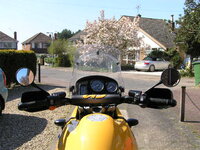 bryn\'s 007.jpg
