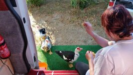 20160824_181934.jpg