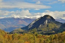 IMG_4898.jpg