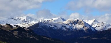 IMG_4950.JPG