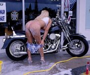 harley.jpg