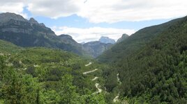 IMG_0041.jpg