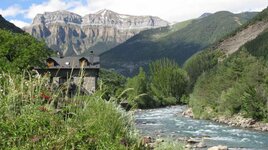 IMG_0081.jpg