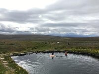 IMG_5322.jpg