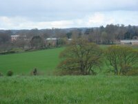 DSC02985.jpg