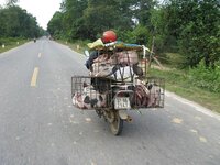 224.JPG