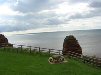 DSC02989.jpg