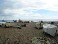 DSC03011.jpg
