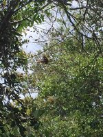 IMG_6758.JPG