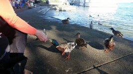 20160704_183449.jpg