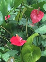 IMG_6806.jpg