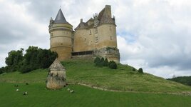 IMG_0317.jpg
