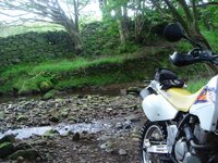 DSC03107.jpg