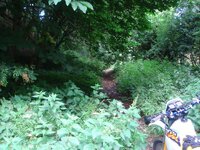 DSC03118.jpg