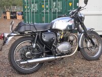 BSA A65L.jpg