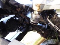 forks-1.jpg