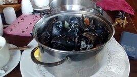IMG_20161210_131232858.jpg