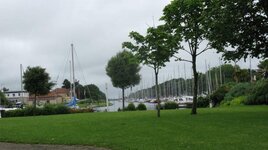 IMG_0420.jpg