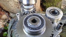 20170325_142556.jpg