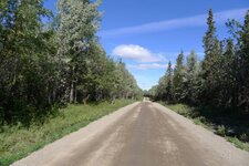Tok dirt road.jpg